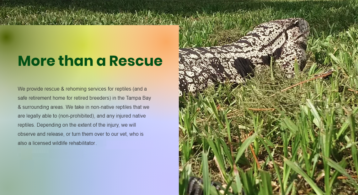 Not just a rescue
